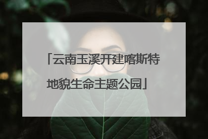 云南玉溪开建喀斯特地貌生命主题公园