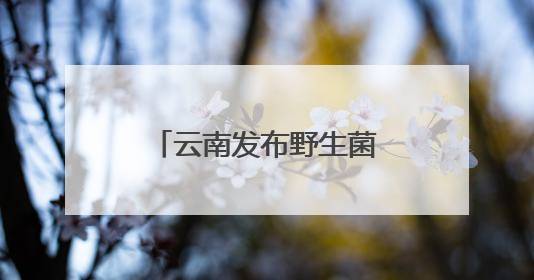 云南发布野生菌中毒风险地图