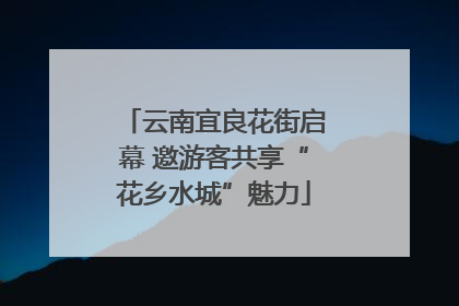 云南宜良花街启幕 邀游客共享“花乡水城”魅力