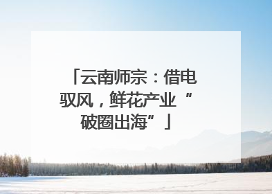 云南师宗：借电驭风，鲜花产业“破圈出海”