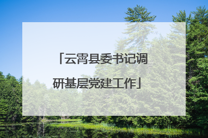 云霄县委书记调研基层党建工作