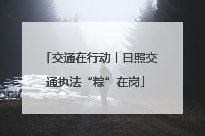 交通在行动丨日照交通执法“粽”在岗