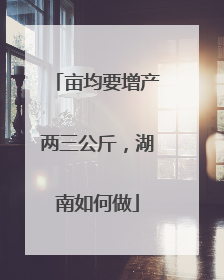 亩均要增产两三公斤，湖南如何做