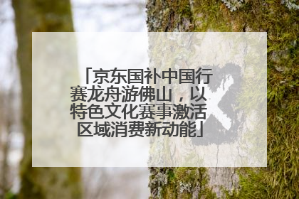 京东国补中国行赛龙舟游佛山，以特色文化赛事激活区域消费新动能