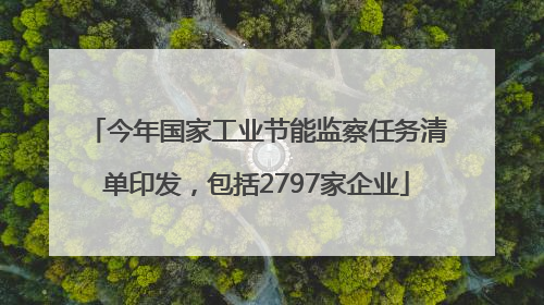 今年国家工业节能监察任务清单印发，包括2797家企业