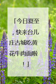 今日夏至，快来台儿庄古城吃黄花牛肉面啦！