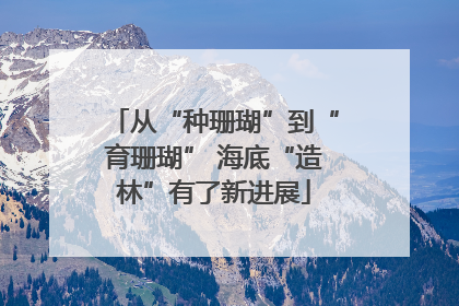 从“种珊瑚”到“育珊瑚” 海底“造林”有了新进展