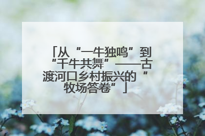 从“一牛独鸣”到“千牛共舞”——古渡河口乡村振兴的“牧场答卷”