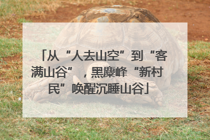 从“人去山空”到“客满山谷”，黑麋峰“新村民”唤醒沉睡山谷