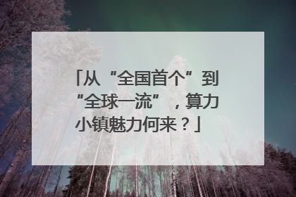 从“全国首个”到“全球一流”，算力小镇魅力何来？