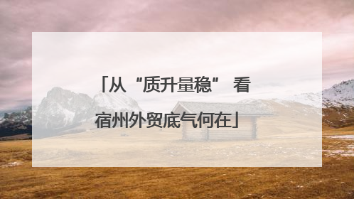 从“质升量稳” 看宿州外贸底气何在
