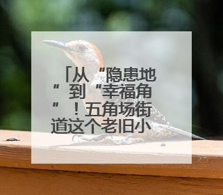 从“隐患地”到“幸福角”！五角场街道这个老旧小区党建微花园“靓”出幸福新图景