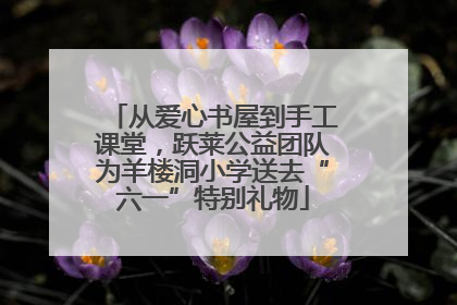 从爱心书屋到手工课堂，跃莱公益团队为羊楼洞小学送去“六一”特别礼物