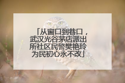 从窗口到巷口，武汉光谷茅店派出所社区民警樊艳玲为民初心永不改