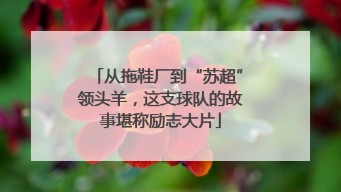 从拖鞋厂到“苏超”领头羊，这支球队的故事堪称励志大片
