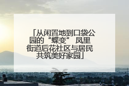 从闲置地到口袋公园的“蝶变” 凤里街道后花社区与居民共筑美好家园