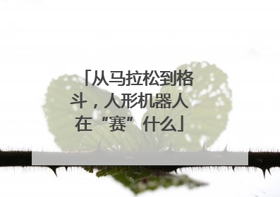 从马拉松到格斗，人形机器人在“赛”什么