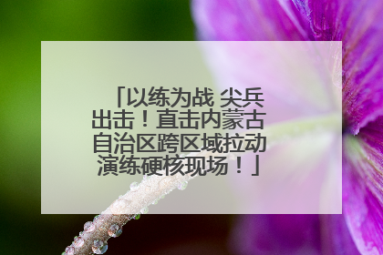 以练为战 尖兵出击！直击内蒙古自治区跨区域拉动演练硬核现场！