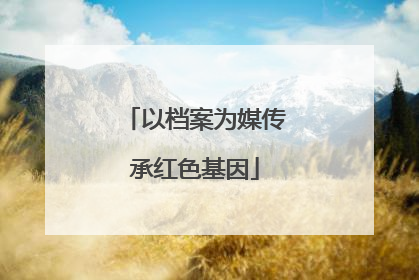 以档案为媒传承红色基因