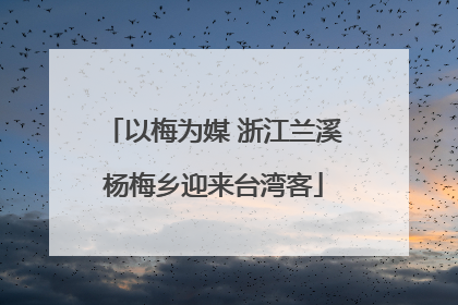 以梅为媒 浙江兰溪杨梅乡迎来台湾客