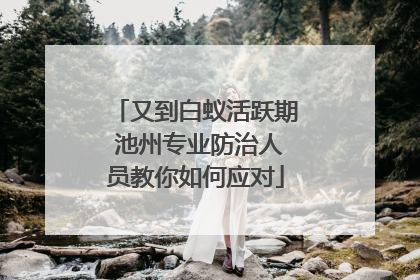 又到白蚁活跃期 池州专业防治人员教你如何应对
