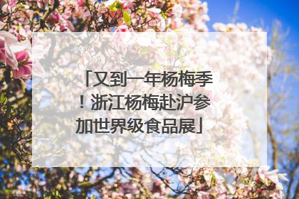 又到一年杨梅季！浙江杨梅赴沪参加世界级食品展