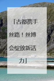 古都携手丝路！丝博会绽放新活力