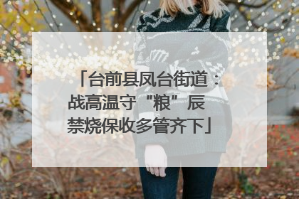 台前县凤台街道：战高温守“粮”辰 禁烧保收多管齐下