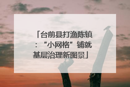 台前县打渔陈镇：“小网格”铺就基层治理新图景