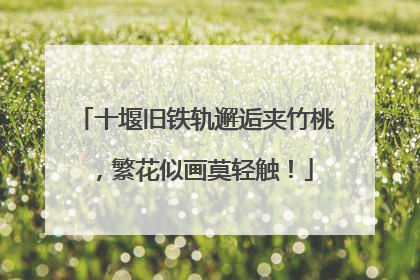 十堰旧铁轨邂逅夹竹桃，繁花似画莫轻触！