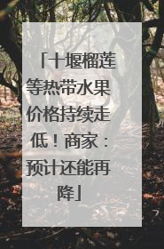 十堰榴莲等热带水果价格持续走低！商家：预计还能再降