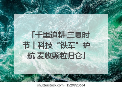 千里追耕·三夏时节丨科技“铁军”护航 麦收颗粒归仓