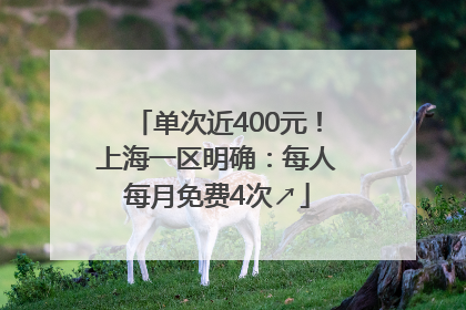 单次近400元！上海一区明确：每人每月免费4次↗