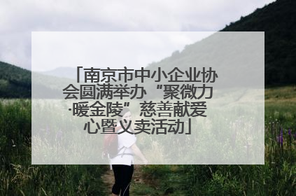 南京市中小企业协会圆满举办“聚微力·暖金陵”慈善献爱心暨义卖活动