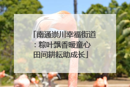 南通崇川幸福街道：粽叶飘香暖童心 田间耕耘助成长
