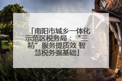 南阳市城乡一体化示范区税务局：“三精”服务提质效 智慧税务强基础