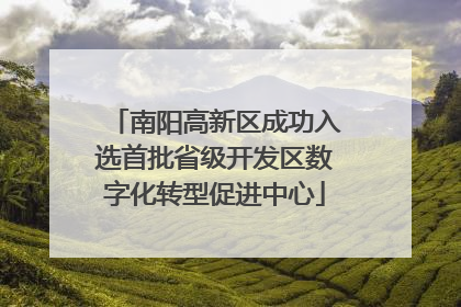 南阳高新区成功入选首批省级开发区数字化转型促进中心