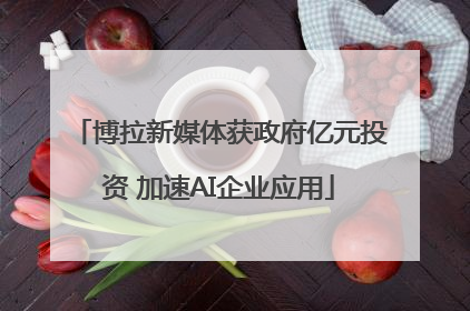 博拉新媒体获政府亿元投资 加速AI企业应用