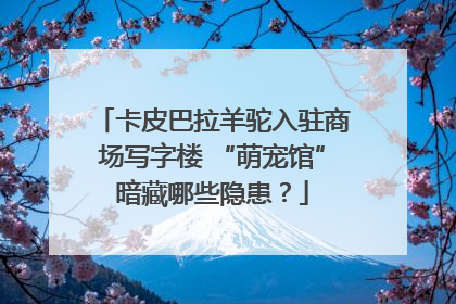 卡皮巴拉羊驼入驻商场写字楼 “萌宠馆”暗藏哪些隐患？