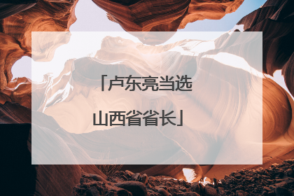 卢东亮当选山西省省长