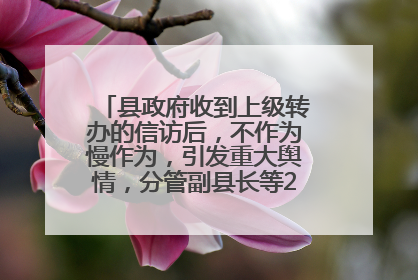 县政府收到上级转办的信访后，不作为慢作为，引发重大舆情，分管副县长等25人被处理