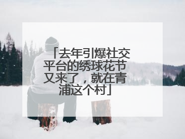 去年引爆社交平台的绣球花节又来了，就在青浦这个村
