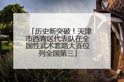 历史新突破！天津市西青区代表队在全国性武术套路大赛位列全国第三
