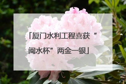 厦门水利工程喜获“闽水杯”两金一银