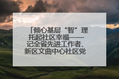 倾心基层“智”理 托起社区幸福——记全省先进工作者、新区文曲中心社区党委书记董世弘