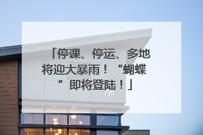 停课、停运、多地将迎大暴雨！“蝴蝶”即将登陆！