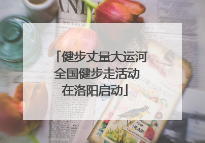 健步丈量大运河 全国健步走活动在洛阳启动