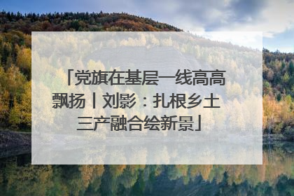 党旗在基层一线高高飘扬丨刘影：扎根乡土 三产融合绘新景