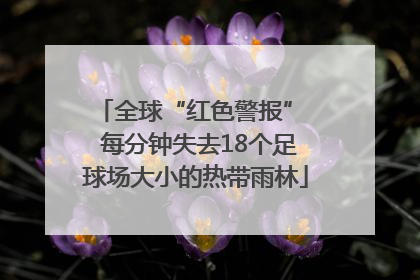 全球“红色警报”  每分钟失去18个足球场大小的热带雨林