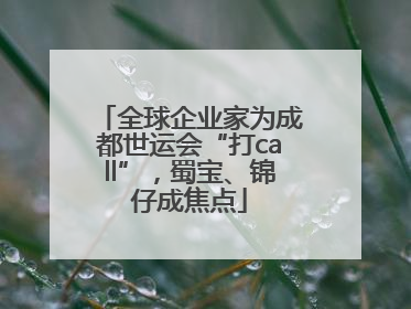 全球企业家为成都世运会“打call”，蜀宝、锦仔成焦点